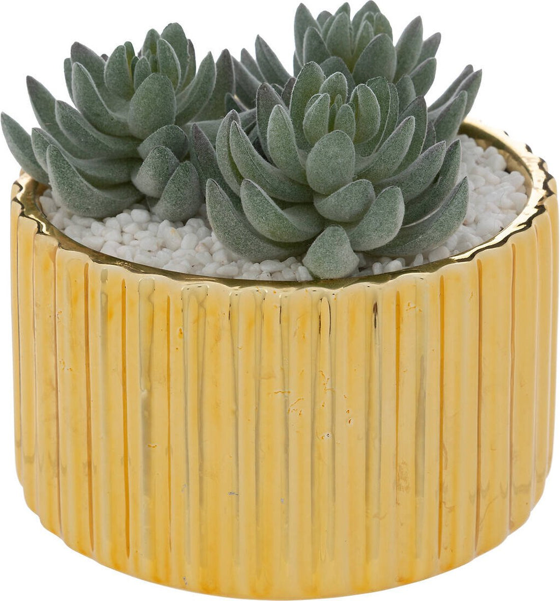 Plante artificielle en pot, plante grasse, 12 cm
