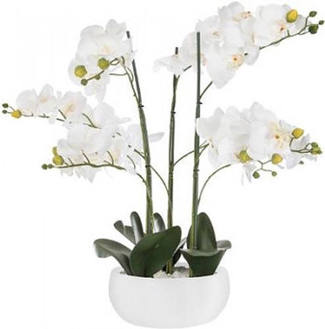 ORCHIDÉE ARTIFICIELLE - Fleur d'orchidée - BLANC - POT EN CÉRAMIQUE BLANC - HAUTEUR 65 CM