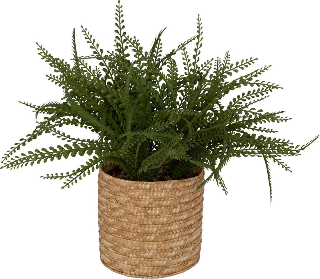 Atmosphera Kunstplant Varen met pot - 45 x 30 x 45 cm - Groen