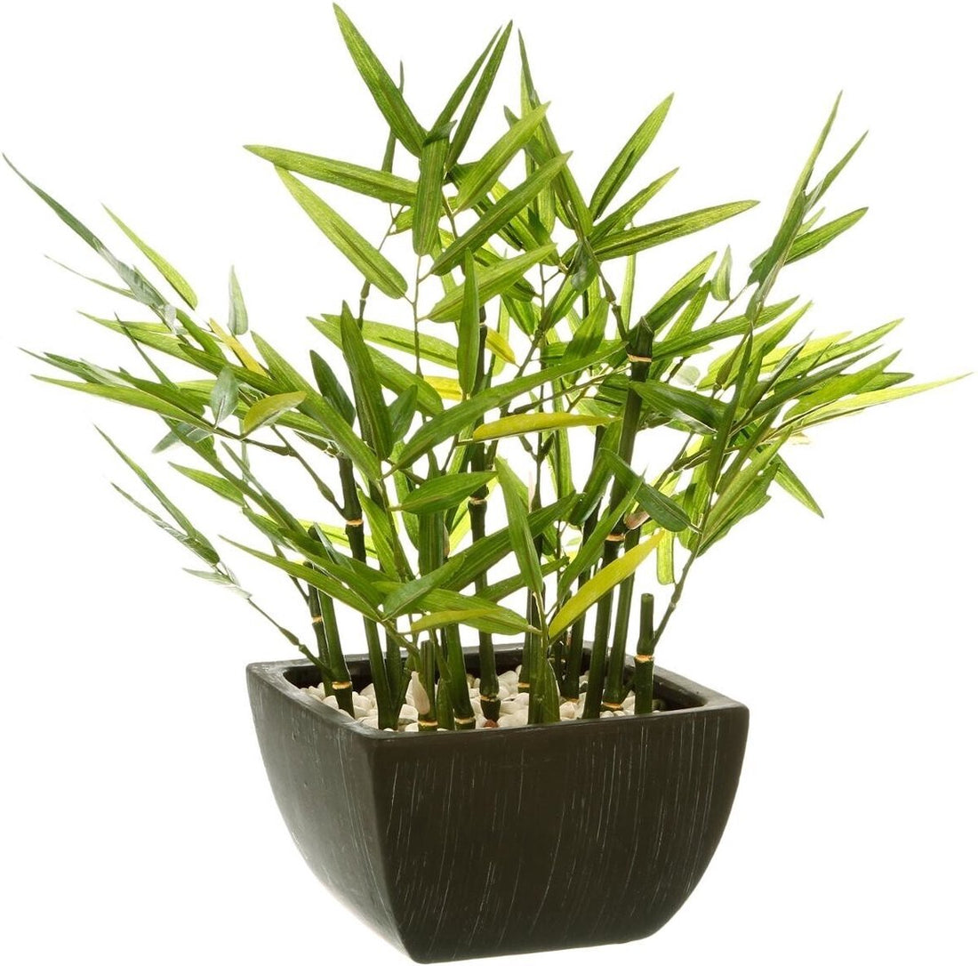 Atmosphera kunstbamboe in pot – kunstplant groen/zwart, 35 x 33 x 33 cm