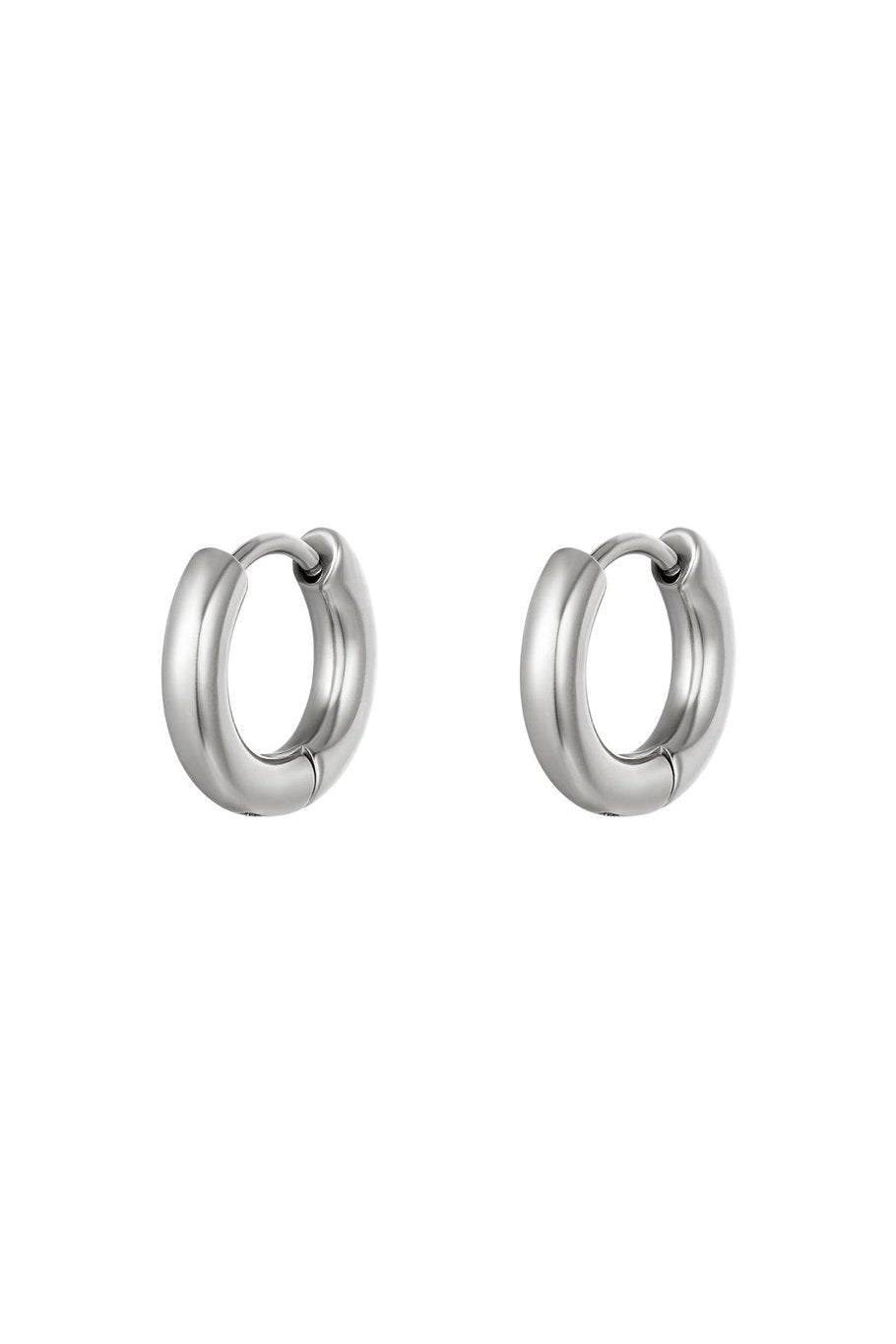 Basic oorbellen - mini - Zilverkleur - Stainless Steel - set van 2