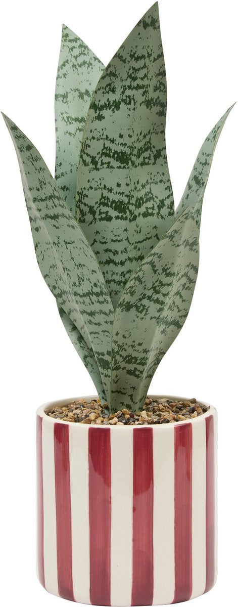 Atmosphera Kunstplant Sansevieria Chéri met keramische pot - Ø12xH38 cm - Rood