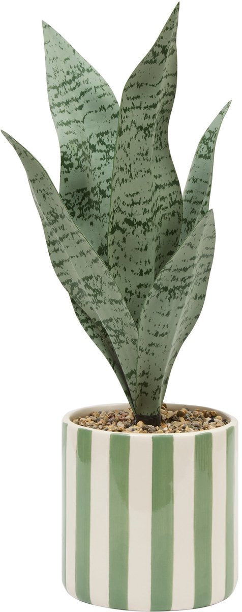 Atmosphera Artificial Sansevieria Chéri Plant with ceramic pot - Ø12xH38 cm - Green
