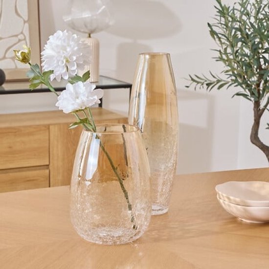 Vase - Vase à fleurs - Vase en verre - Set de 2 - Verre craquelé - Décoration d'intérieur de luxe - 25 cm et 39 cm de hauteur - Transparent