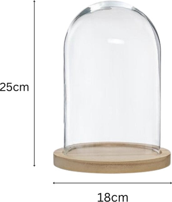 Glass Cloche - Glass Bell Jar - Glass Dome - Set of 2 - Decorative Cloche with Wooden Base - 18 x 25 cm - Transparent