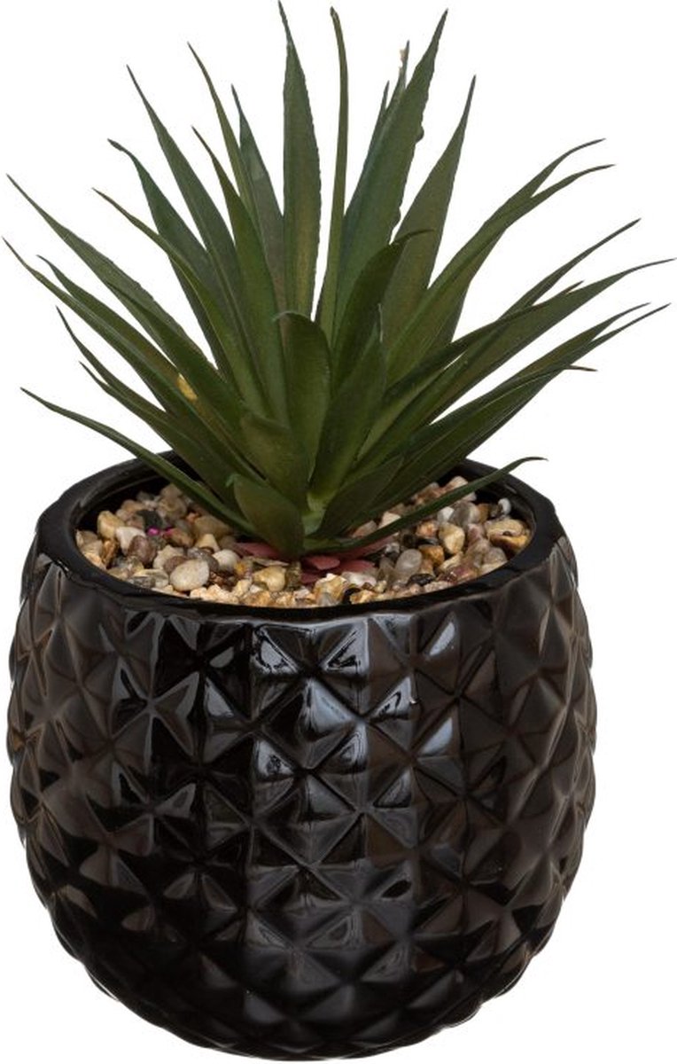 Artificial Plant in Black Pineapple Pot – H21 cm