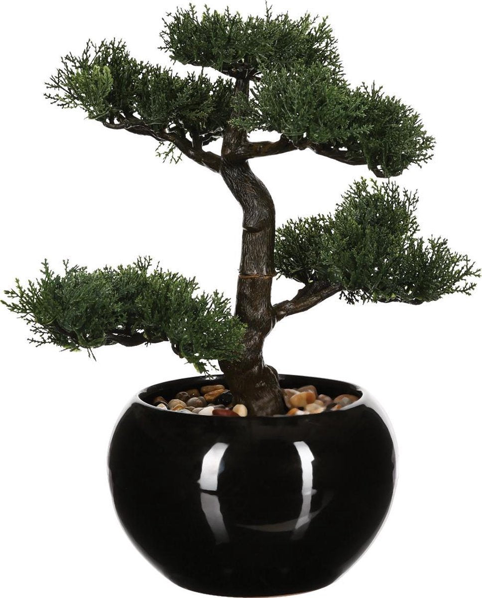 Atmosphera Kunstpflanze Bonsai mit Topf - H36 cm - Pflanze