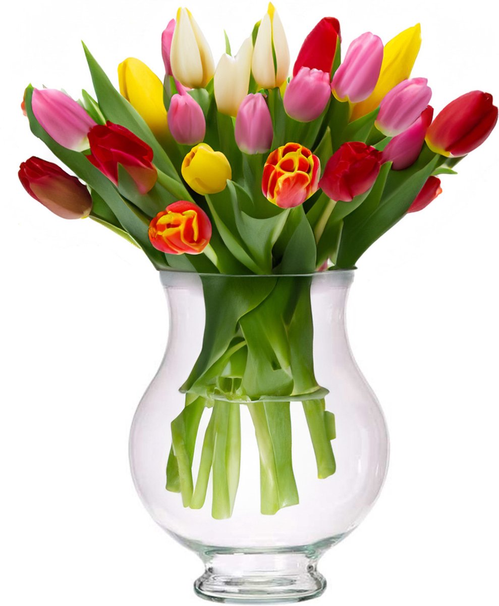 Giftdecor Artistica Flower Vase - luxury decorative glass - clear transparent - 21 x 28 cm - elegant vase