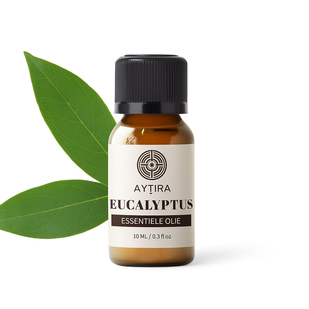 Aytira Eucalyptus Essentiële Olie – 100% Puur & Verfrissend – 10 ml