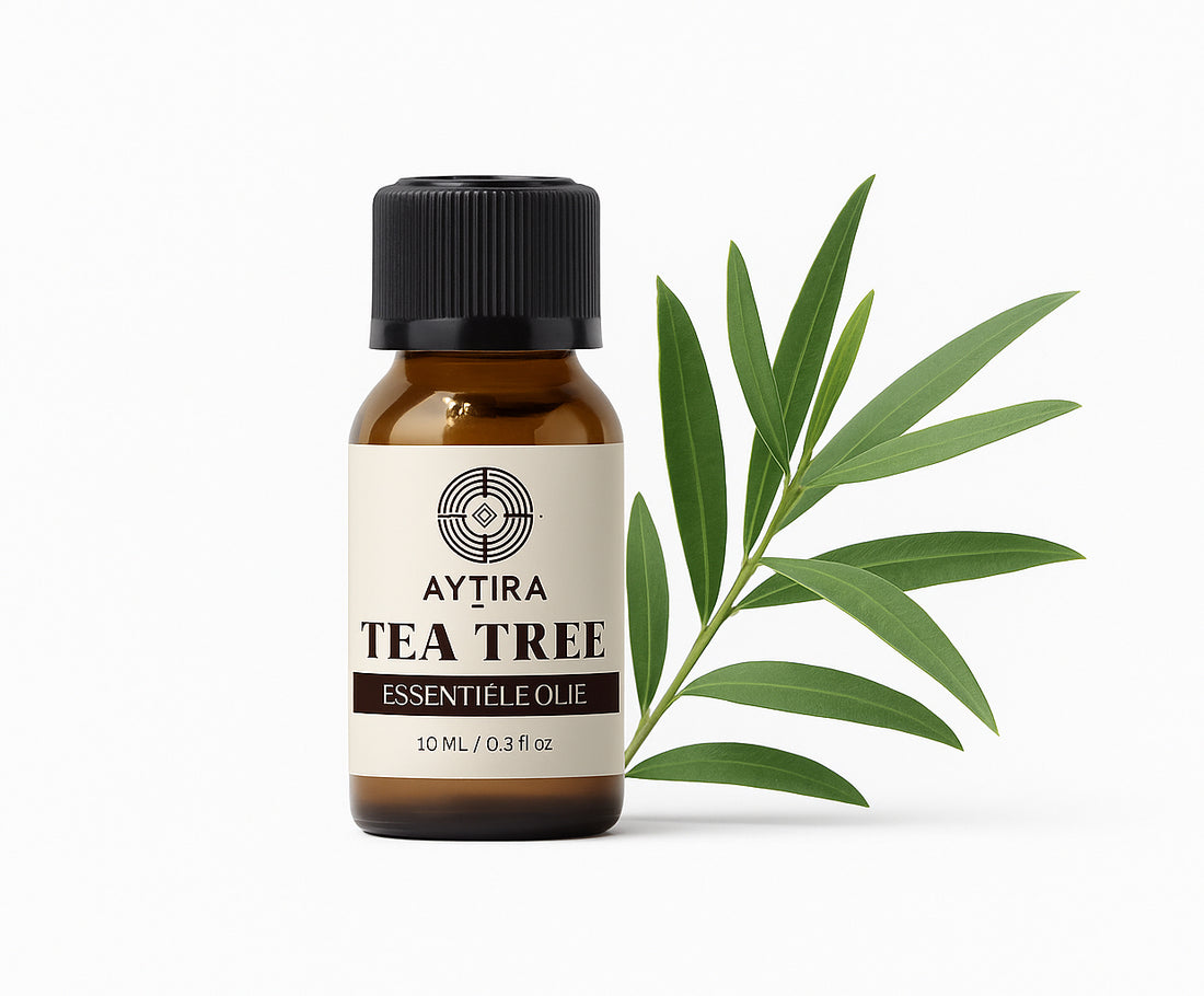 Aytira tea tree olie – 100% pure essentiële olie met druppeldop, 10 ml