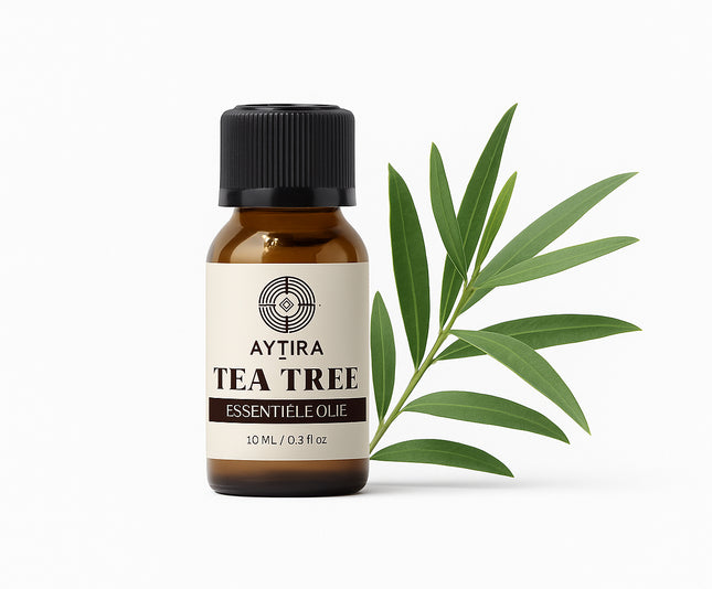 Aytira tea tree olie – 100% pure essentiële olie met druppeldop, 10 ml