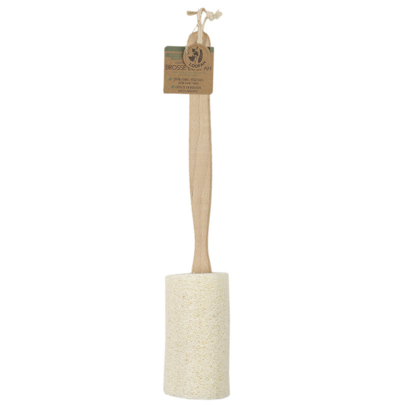 Brosse à dos naturelle