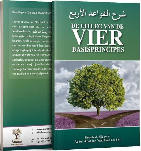 De Uitleg van de VIER basisprincipes