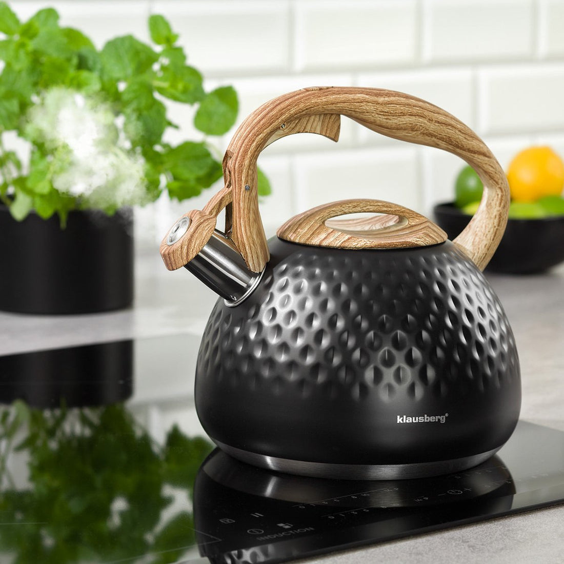 Klausberg KB-7562 - whistling kettle - 2.8 L - stainless steel - all heat sources