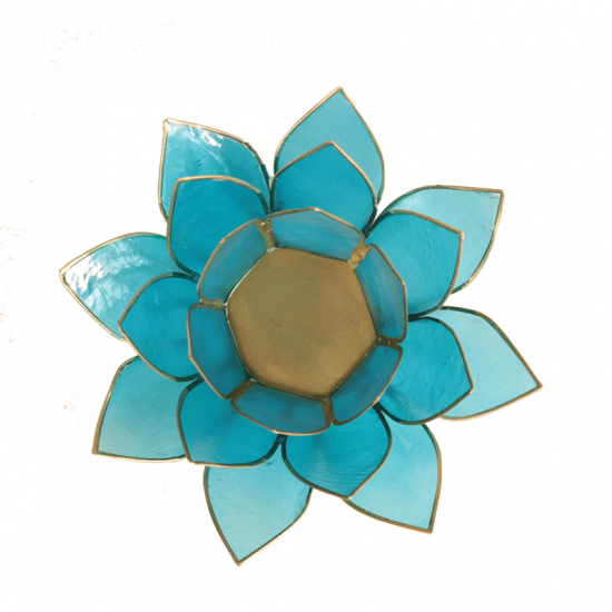 Lotus atmosphere light aquamarine blue