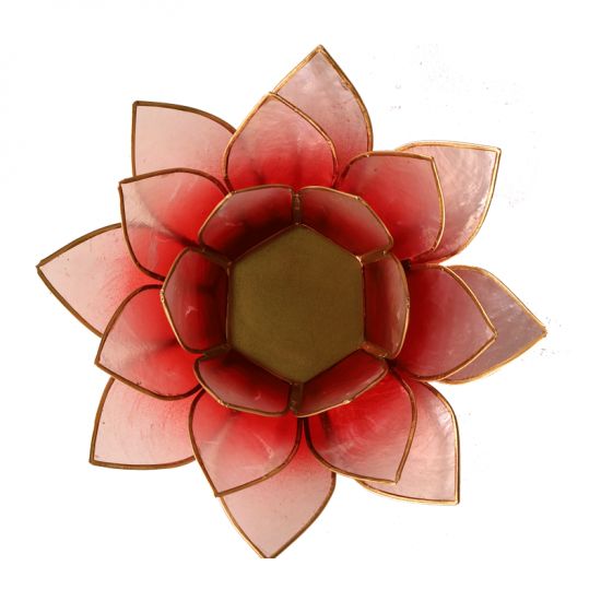 Lotus mood light red/pink gold rim