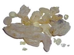 Marokkaanse wierookhars sandarak – Tetraclinis articulata, 11 gram