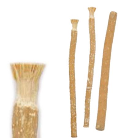 Miswak-Stick Natur