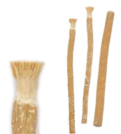 Siwak miswak stokjes, set van 3 – tandenpoetshout van de miswakboom – foto 2