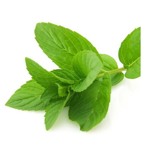 Mint soap
