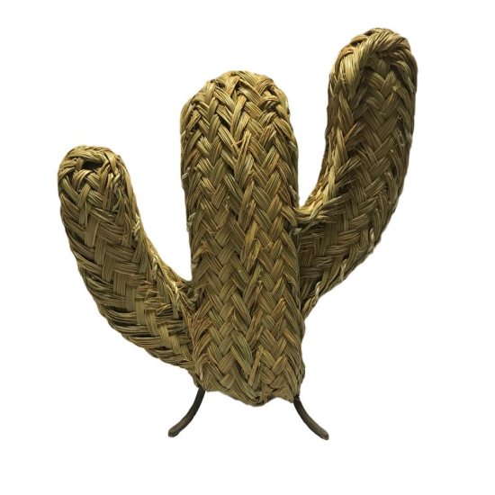 cactus en jonc de mer 35 cm