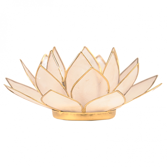 Lotus atmosphere light natural gold rim