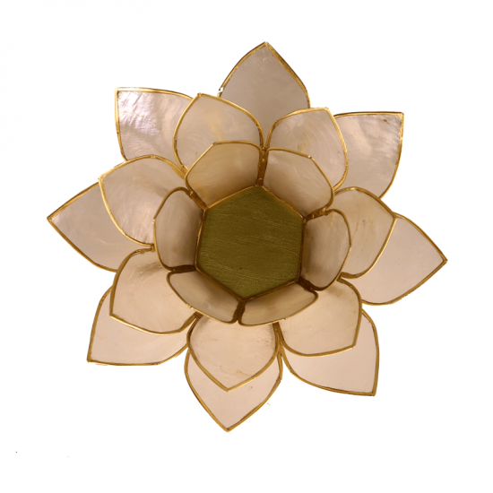 Lotus atmosphere light natural gold rim