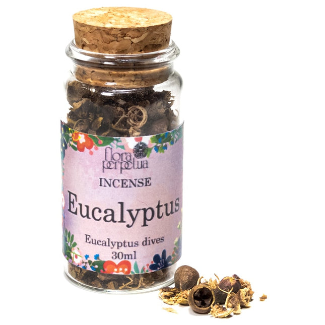 Eucalyptus incense herb