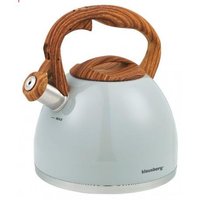 Klausberg KB-7451 fluitketel van RVS – 3 liter, voor alle warmtebronnen