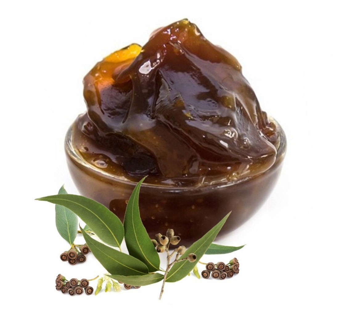 Moroccan Black Soap with EUCALYPTUS